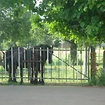 Apartamento Meschermolen 6 Withuis