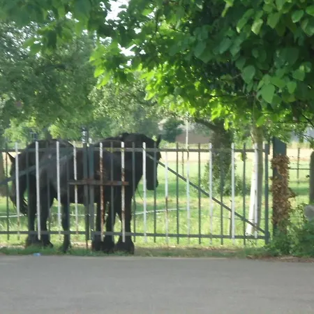 アパート Meschermolen 6 Withuis