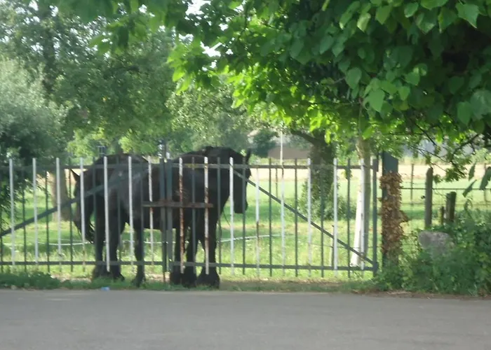 Apartamento Meschermolen 6 Withuis