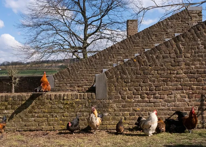 Meschermolen 6 Withuis