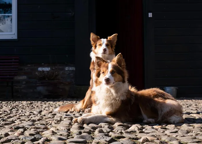 Lejlighed Meschermolen 6 *