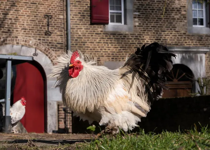 Meschermolen 6 Lejlighed