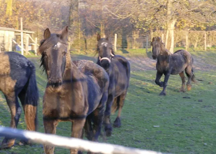 Meschermolen 6 Apartamento *