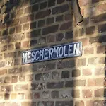 Daire Meschermolen 6