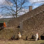 Meschermolen 6 Withuis